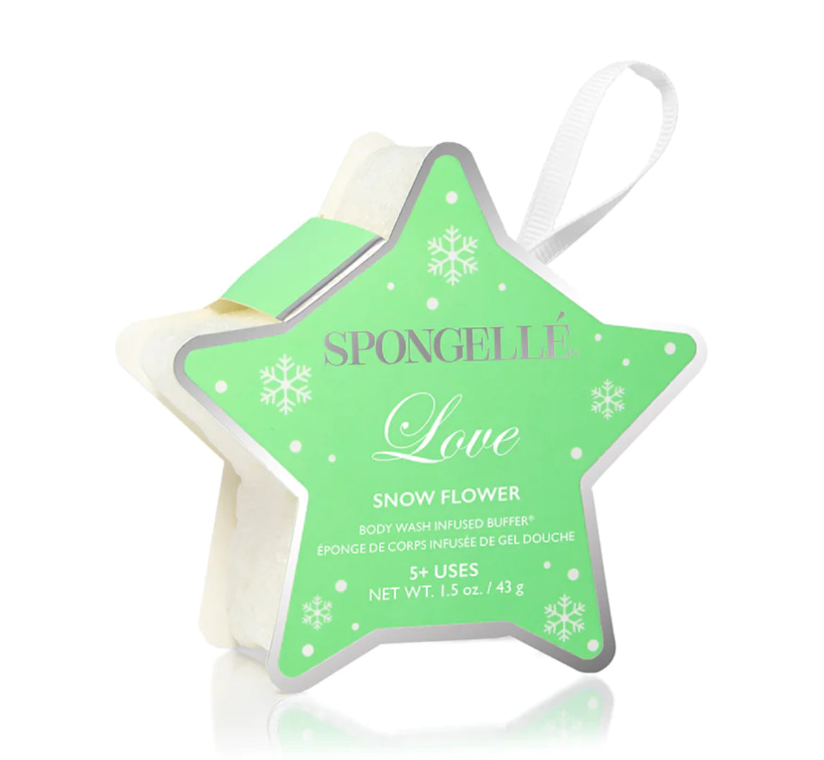 Love Sponge | Holiday Star Ornament