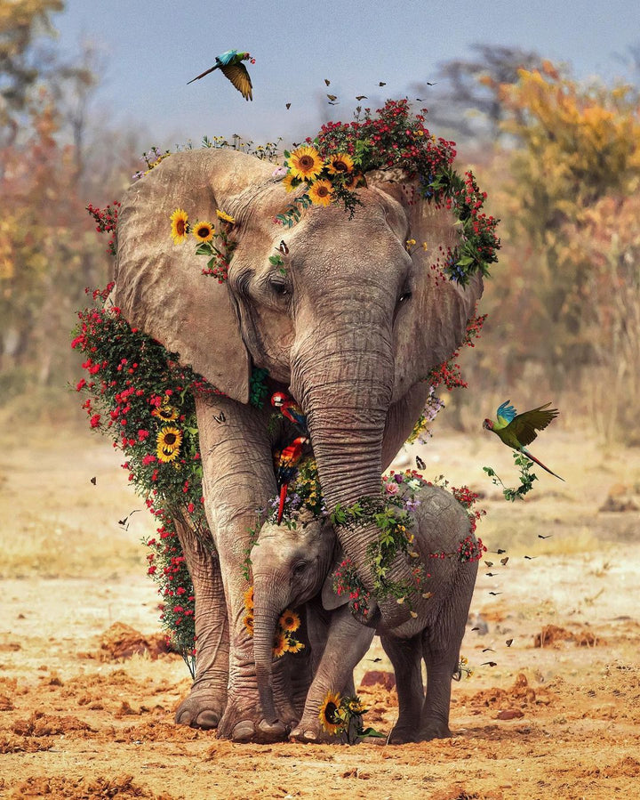 Fahlo Wildlife Tracking Bracelets- Elephant