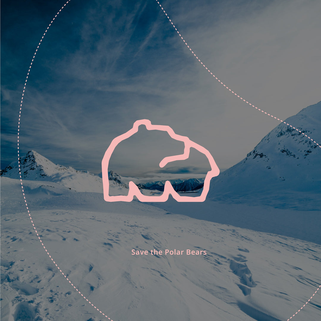 Fahlo Wildlife Tracking Bracelets- Polar Bear