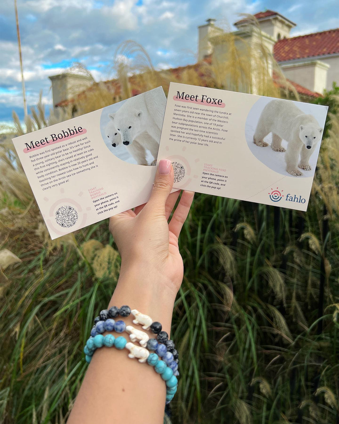 Fahlo Wildlife Tracking Bracelets- Polar Bear