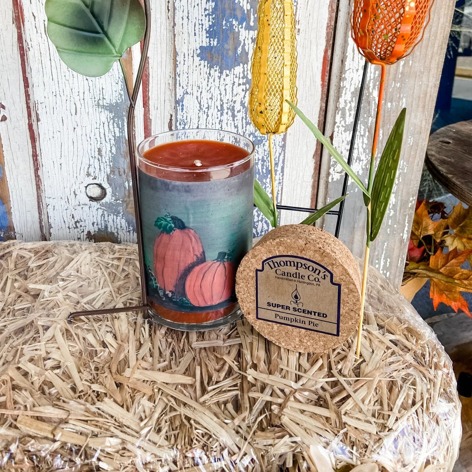 Thompson's Seasonal Art Candle - Pumpkin Pie
