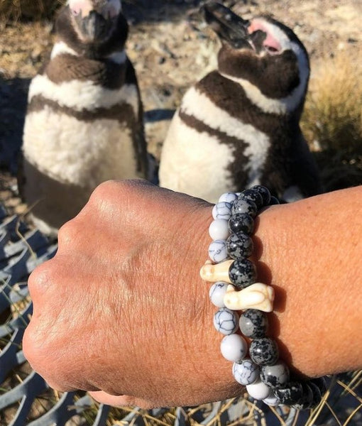 Fahlo Wildlife Tracking Bracelets- Penguin
